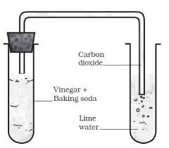 Image showing mixture of vinegar and baking soda passed through lime water